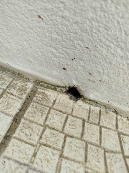 Réalisation d'une recherche de fuite sur la terrasse d’un immeuble en copropriété suite à l’apparition de moisissure et d’humidité dans un appartement à la Grande Motte proche de Port Camargue