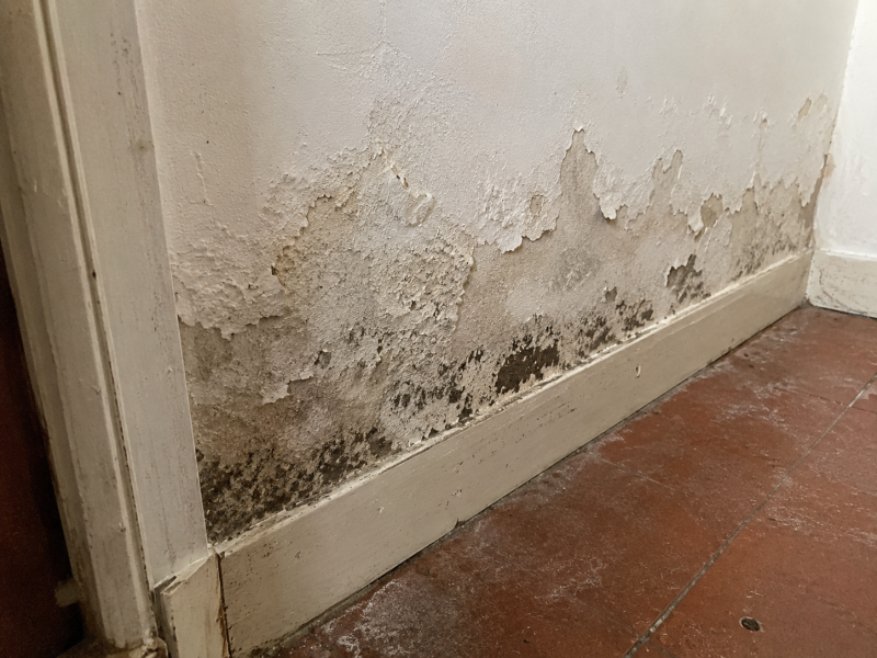 Recherche de fuite d'eau à Palavas-les-Flots près de Lattes : humidité murale, cloques de peinture et dégât des eaux