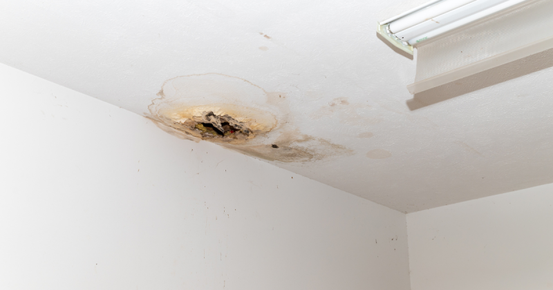 Fuite sous toiture visible en interieur sur Frontignan