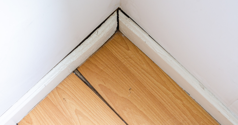 Infiltration d'eau au niveau des plinthes à Lunel