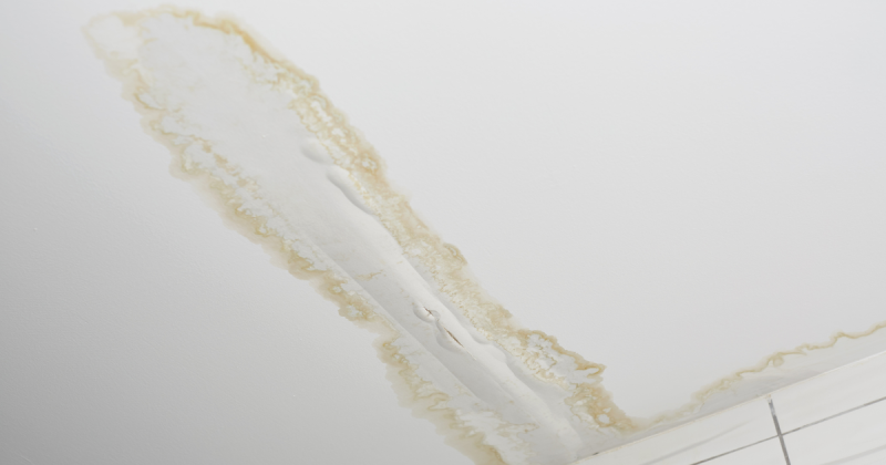 Fuite ou infiltration au plafond à Montpellier et sa région : diagnostic d’origine et rapport pour assurance ou syndic