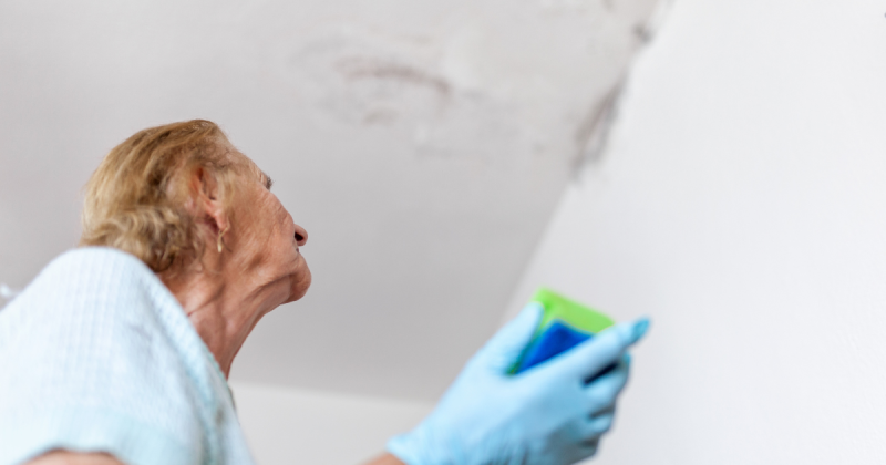 Apparition de traces de moisissures et odeur d'humidité sur Montpellier et sa région