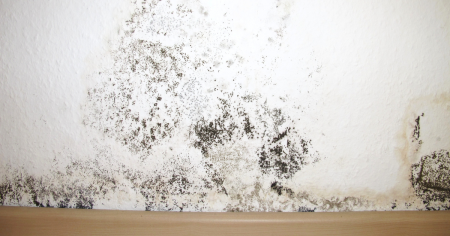 Notre zone d'activité pour ce service Diagnostic d’une infiltration d’eau dans les murs intérieurs d'une maison ancienne avec rapport détaillé des dégâts